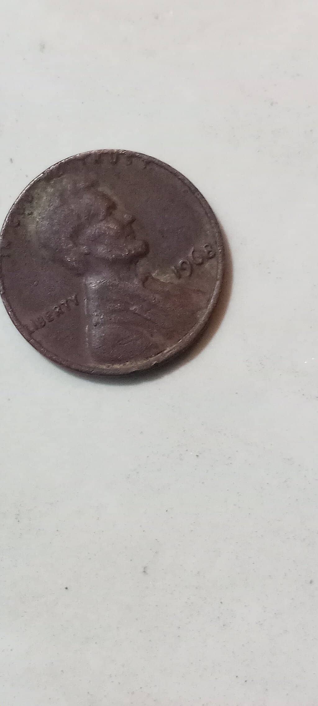 Floor-to-Ceiling Bookshelves