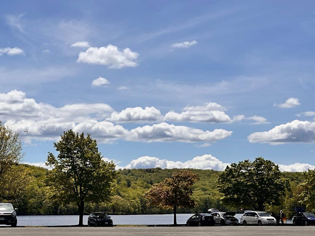 Lemon Ricotta Pancakes