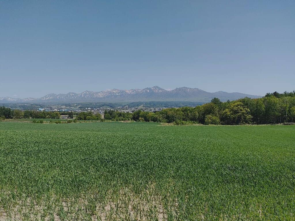 The Iconic Roller Coaster Road