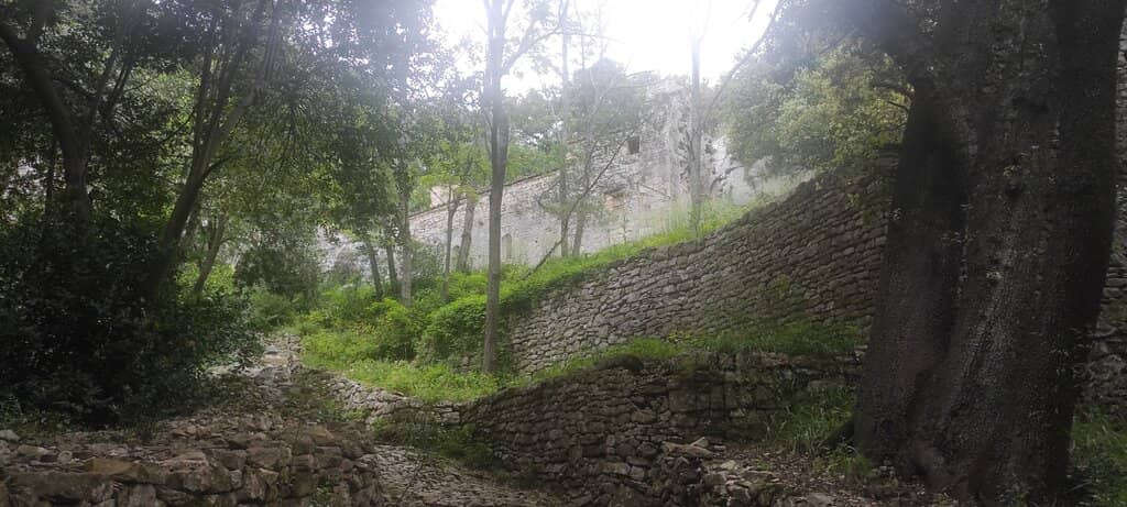 Exceptional Staff Service