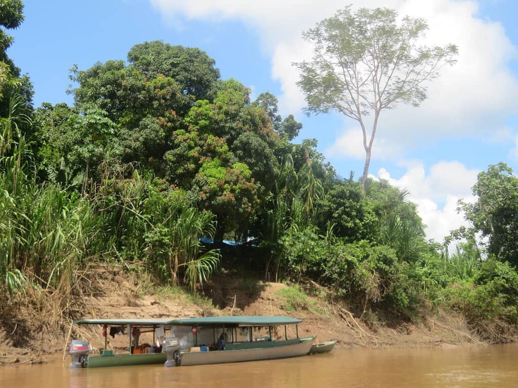 Tambopata River Cruises