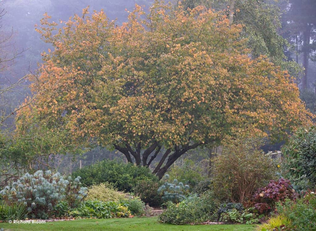 Bernard Tickner's Legacy