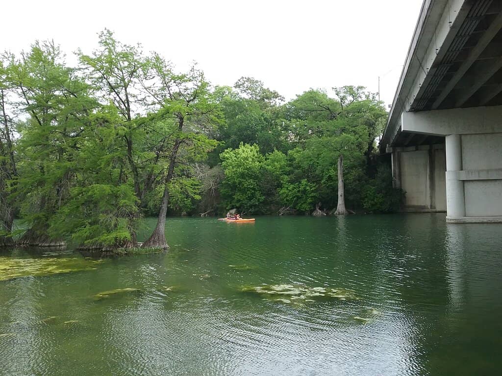 Playground & Open Spaces