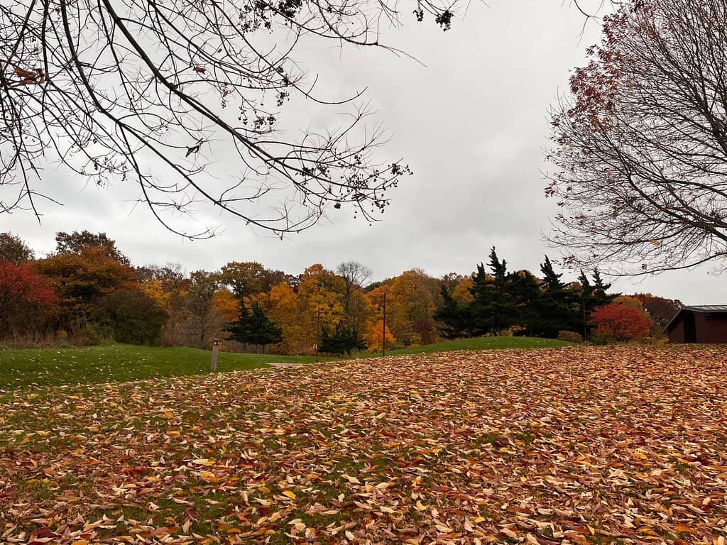 Extensive Trail Network