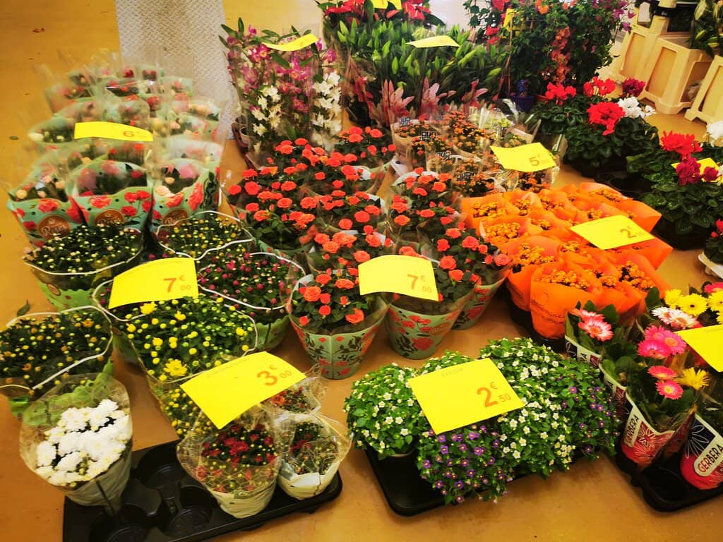 Champagne & Oyster Bar