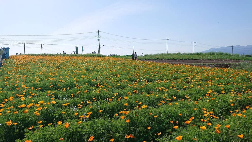 Panoramic Hilltop Views