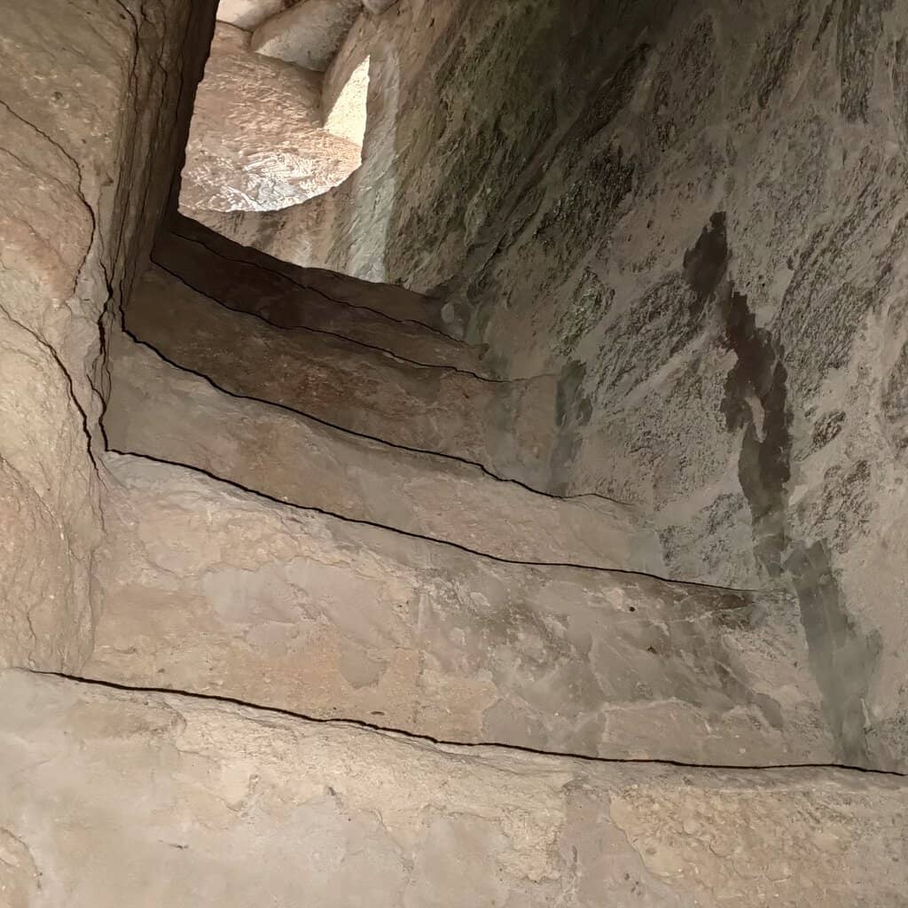 Scenic Garden Surroundings