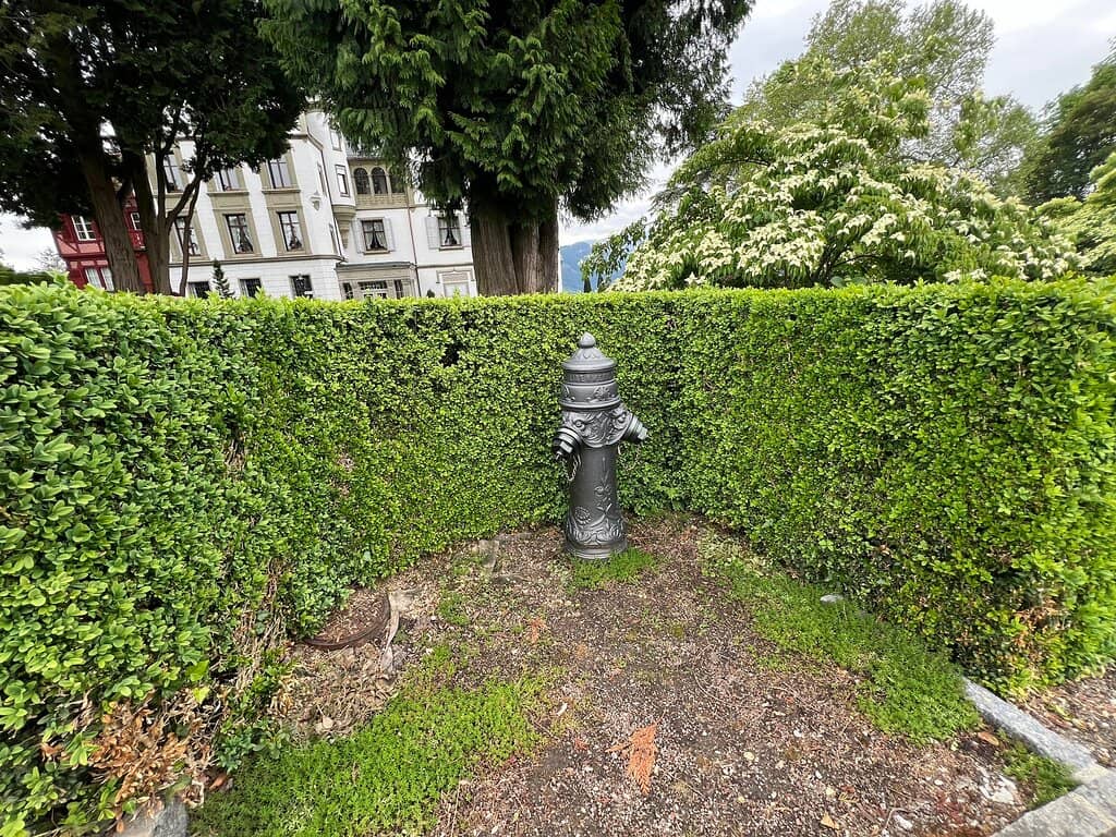 Family-Friendly Playground & Farm