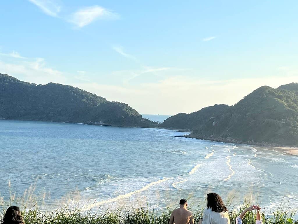 Atlantic Forest Scenery