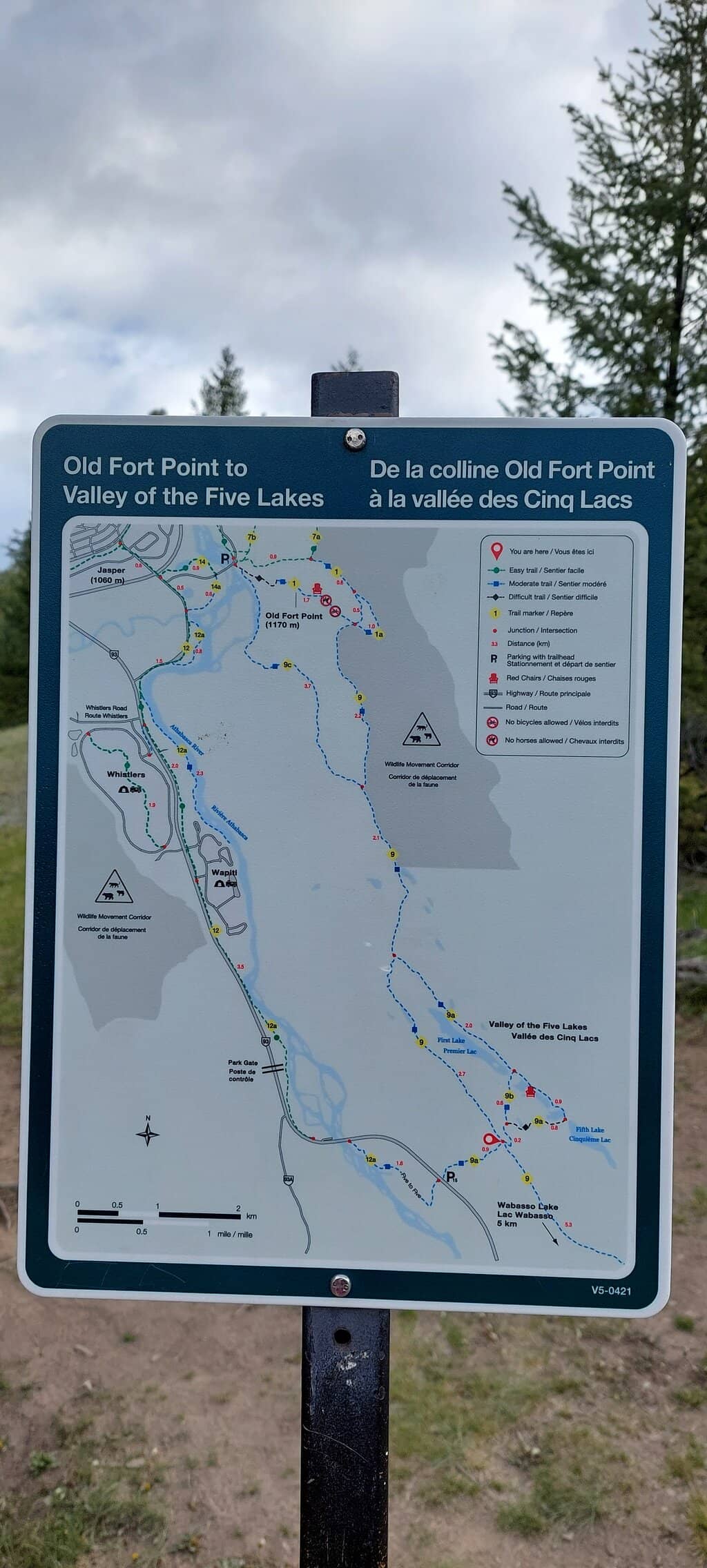 Scenic Walking Trails