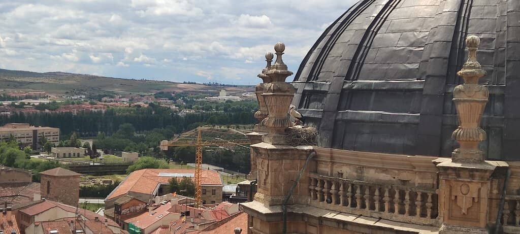 Panoramic Salamanca Views