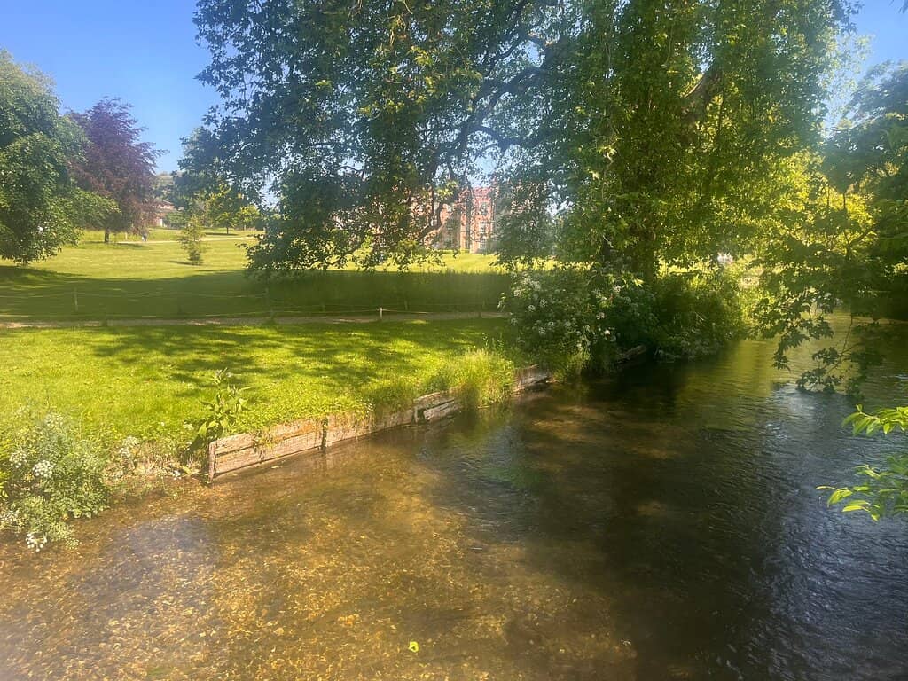 Walled and Water Gardens