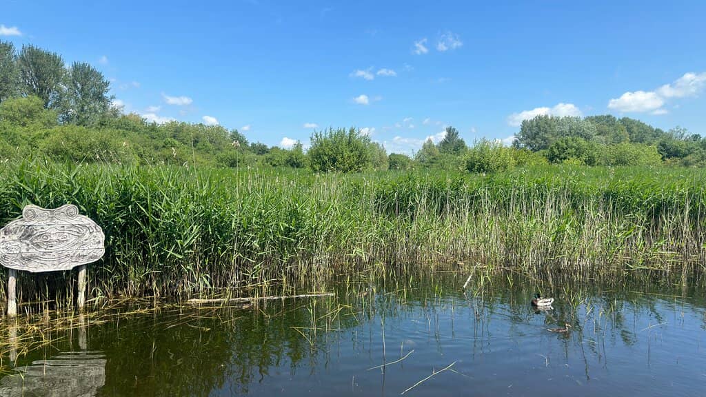 Chalk Stream Serenity