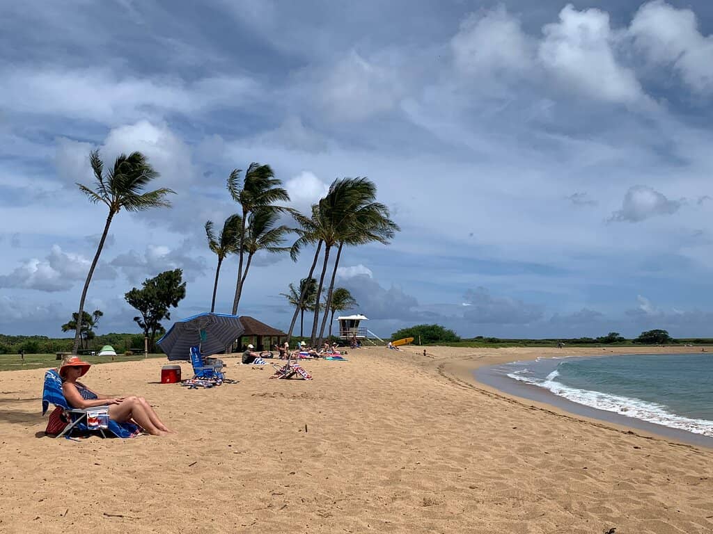 Hawaiian Monk Seal Sightings