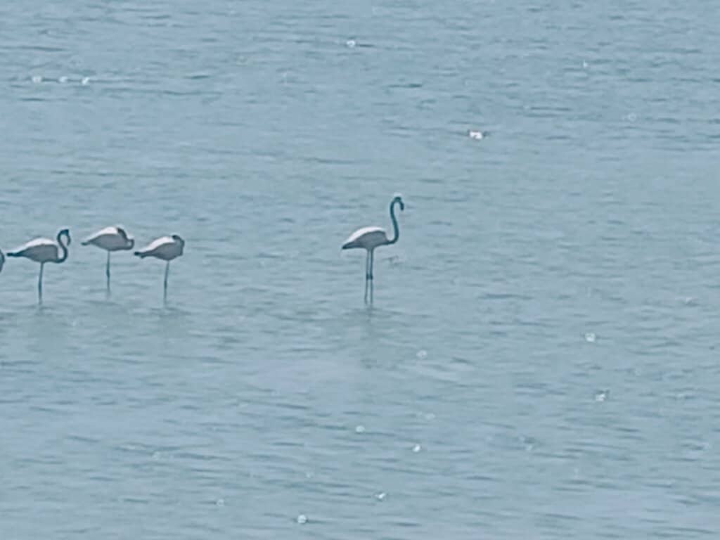 Biodiversity Hotspot