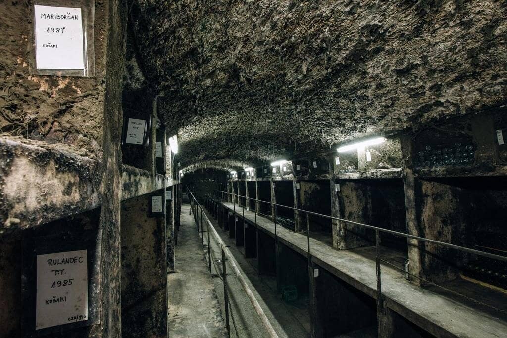 Guided Tours & Tastings