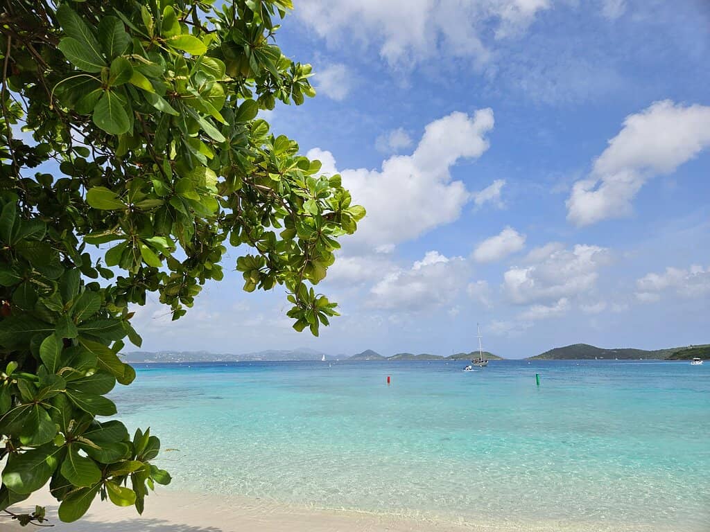 Snorkeling and Turtle Spotting