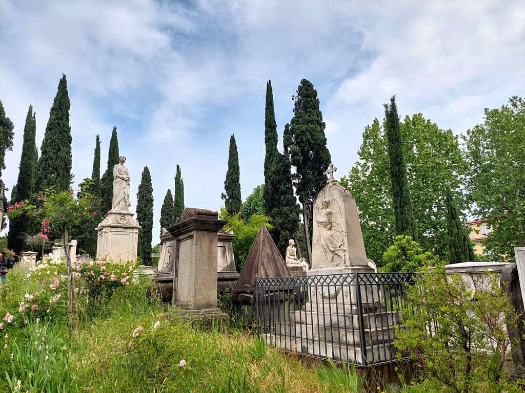 Springtime Iris Blooms