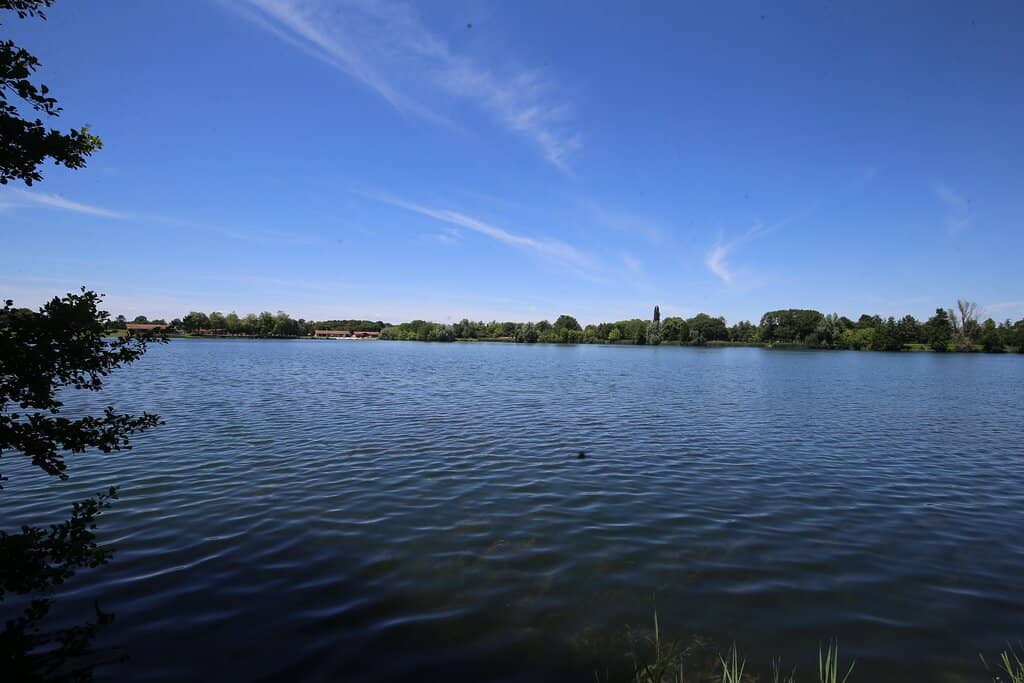 Family Fun Activities