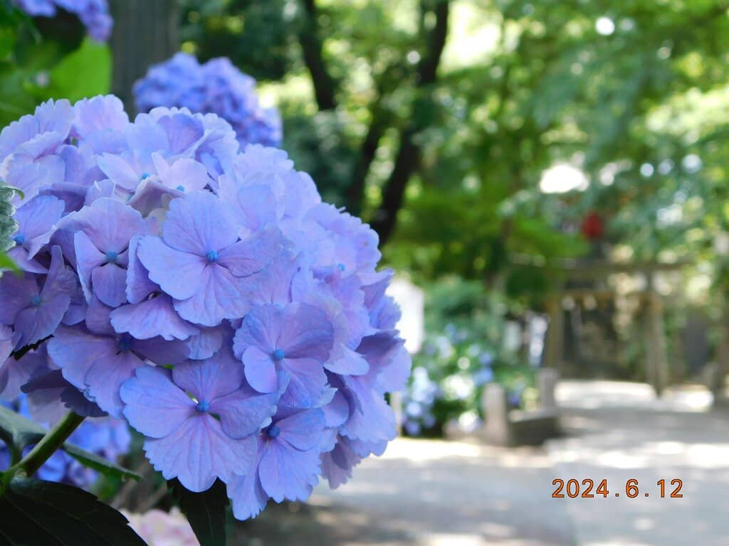 Historical Edo Period Atmosphere