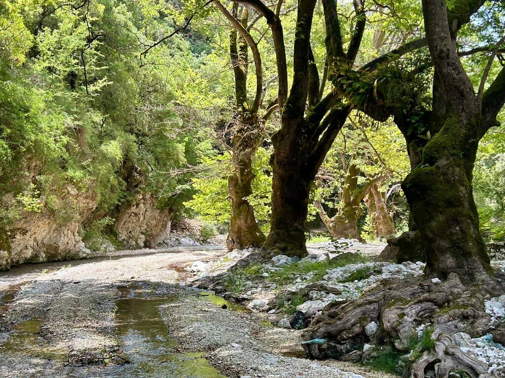 Tranquil Riverside Setting