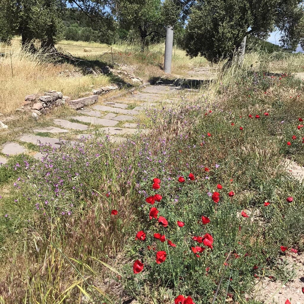 Roman Baths and Sacred Streets