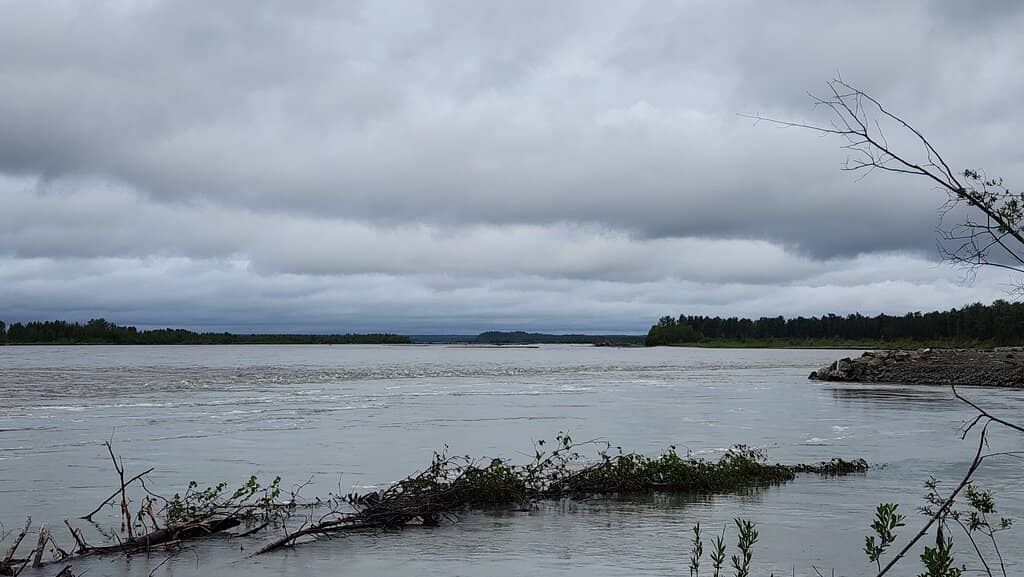 Belle's Interpretive Trail