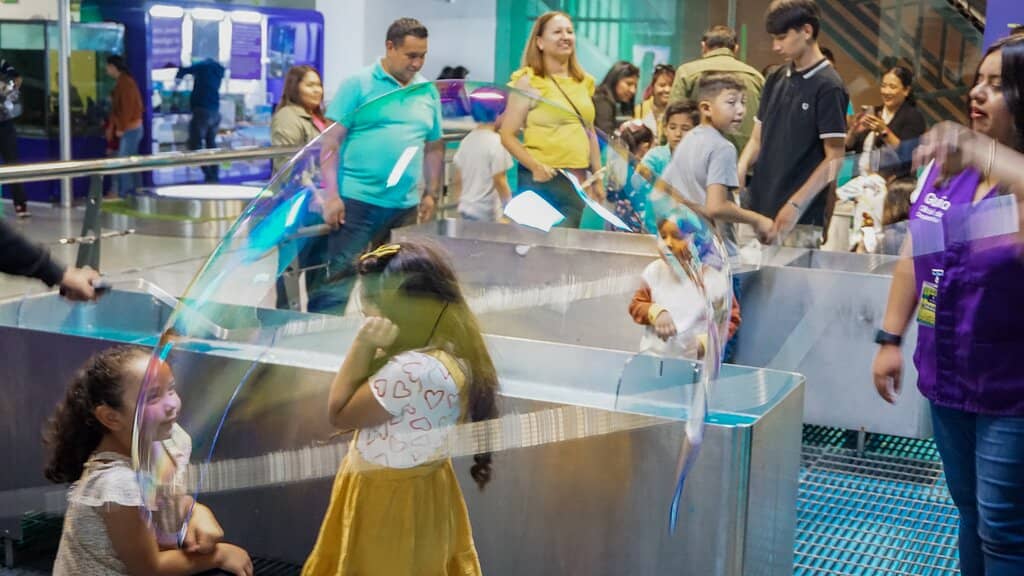 Toddler and Young Child Zones