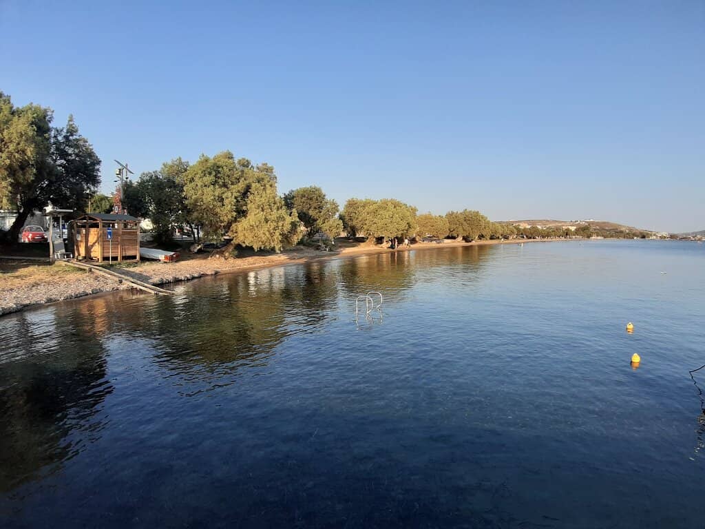 Abundant Natural Shade