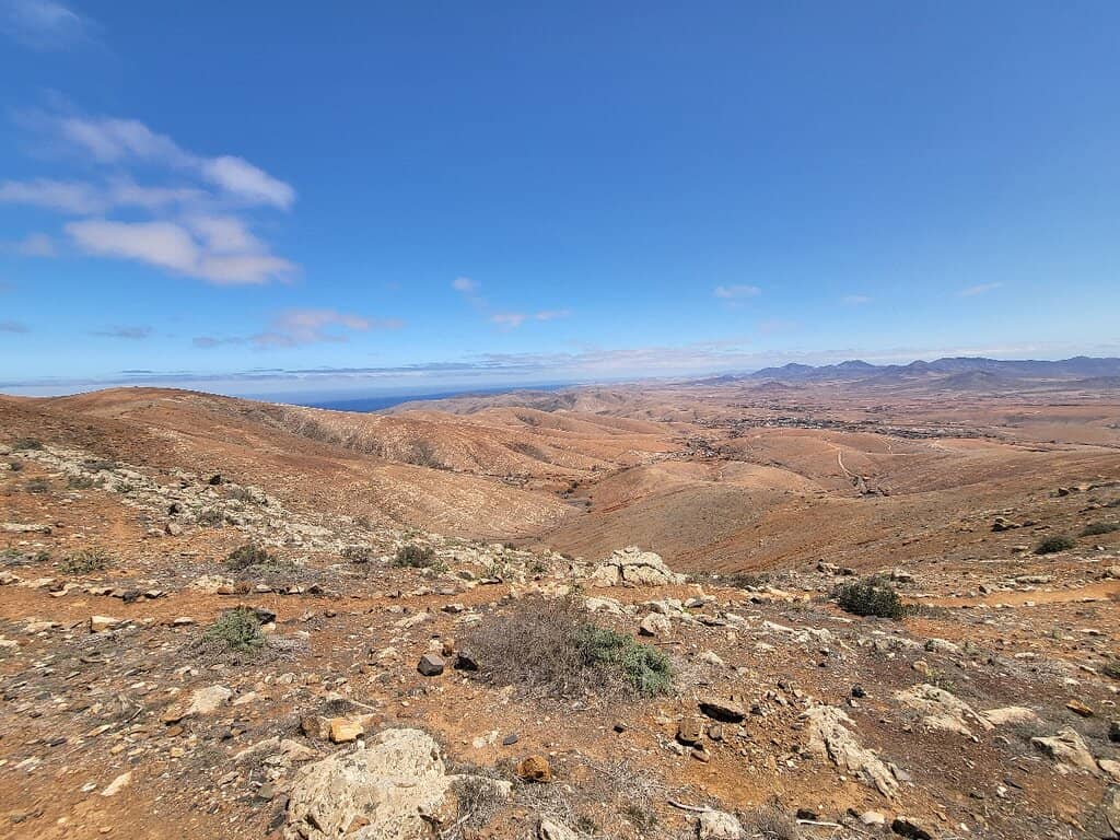 César Manrique's Design