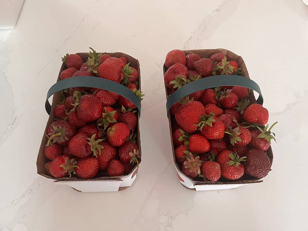 Farm Fresh Baked Goods