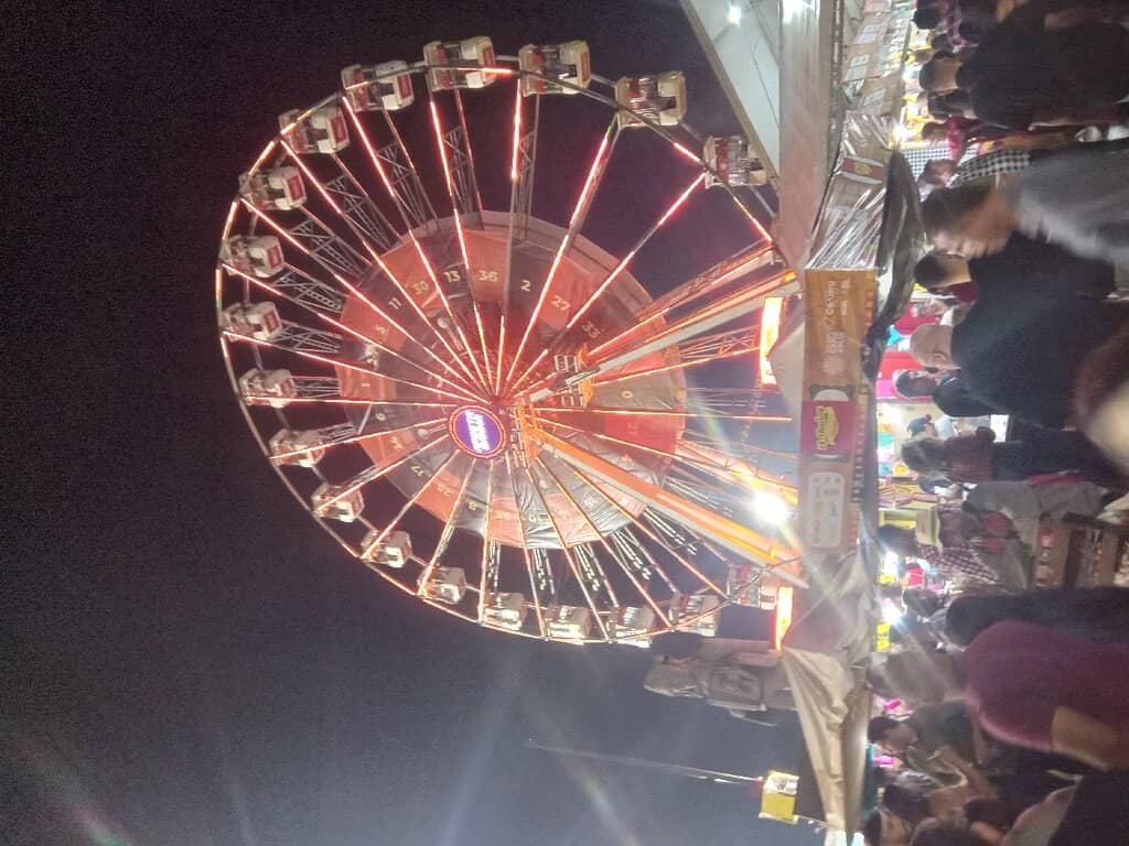 Live Music Extravaganza