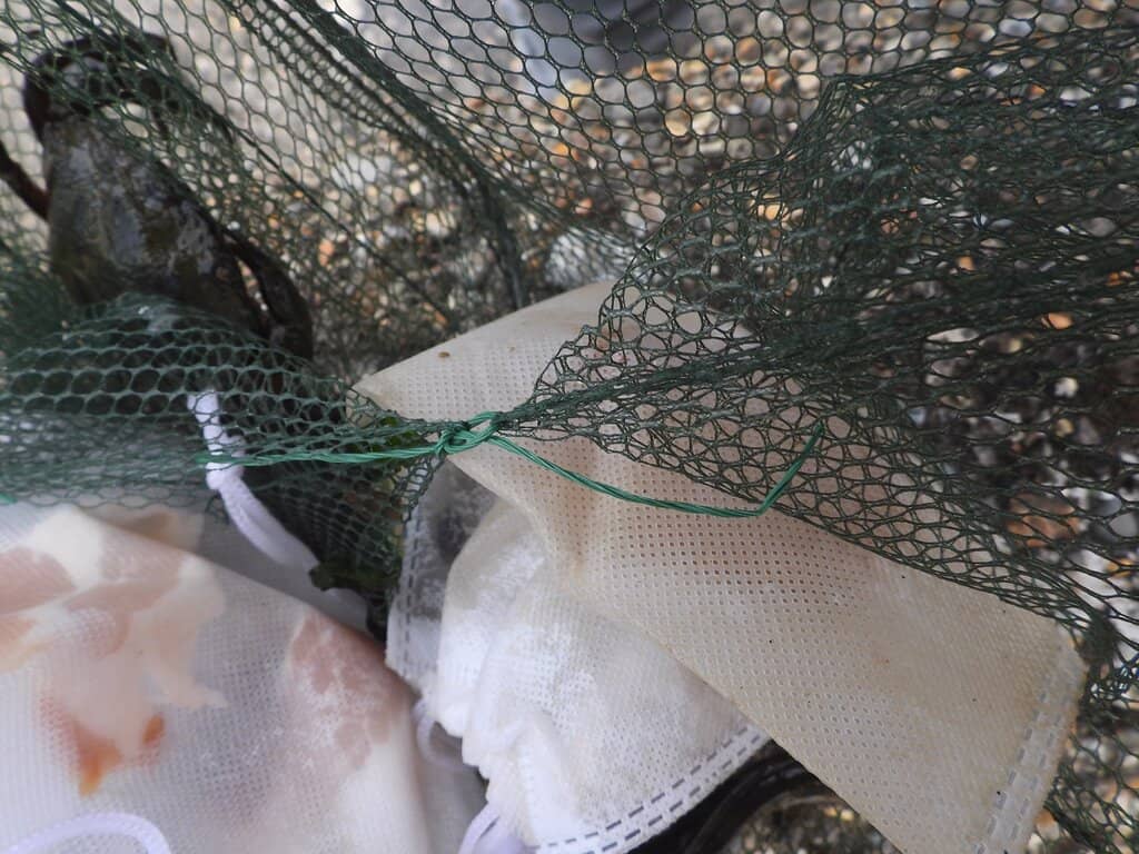 Seaton Tramway Journey