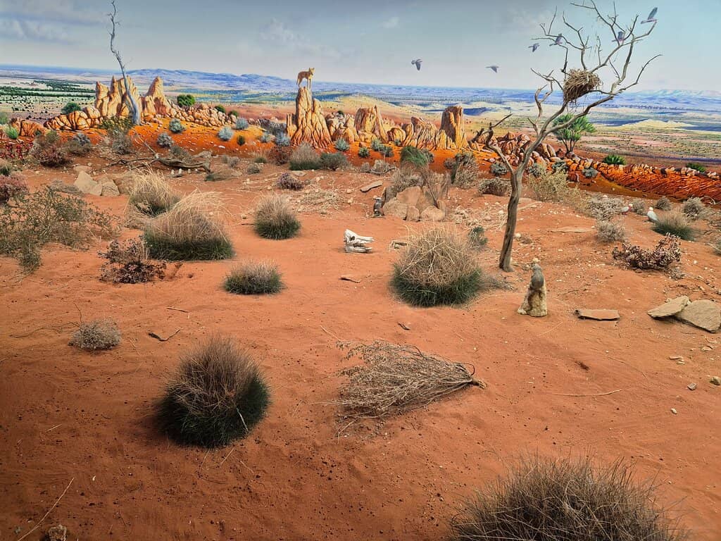 Local Art and Jewelry