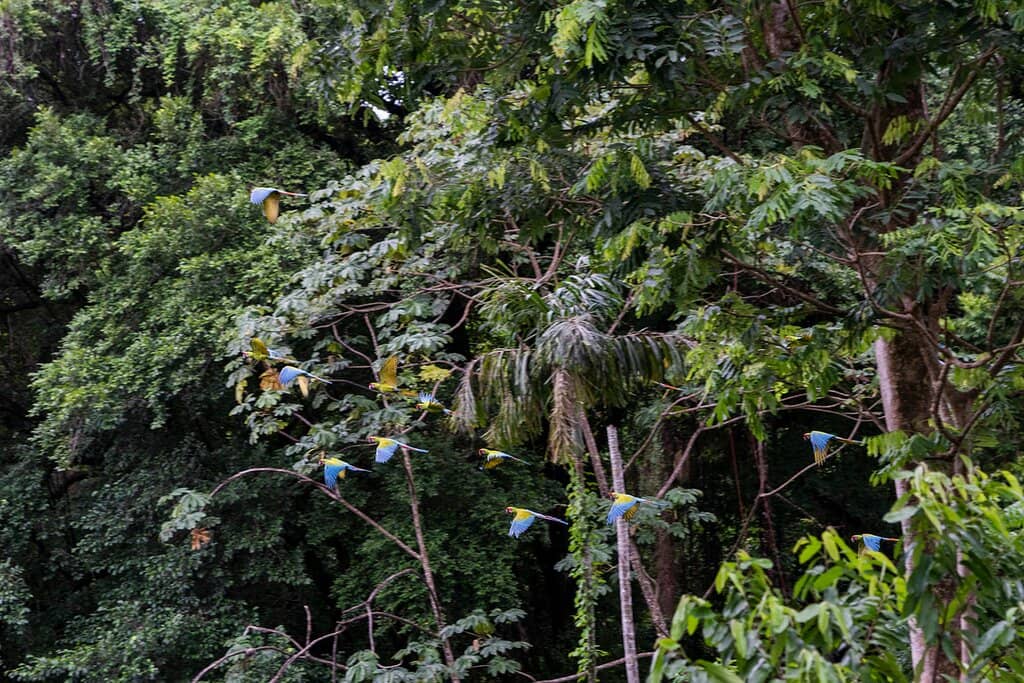 Informative One-Hour Tour