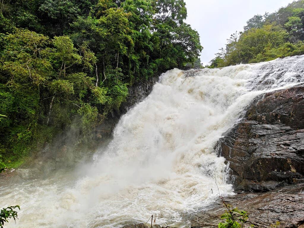 Lush Green Surroundings