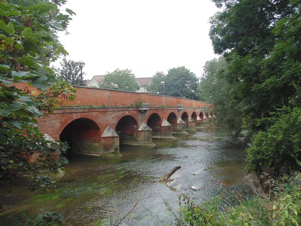 River Mole Walks