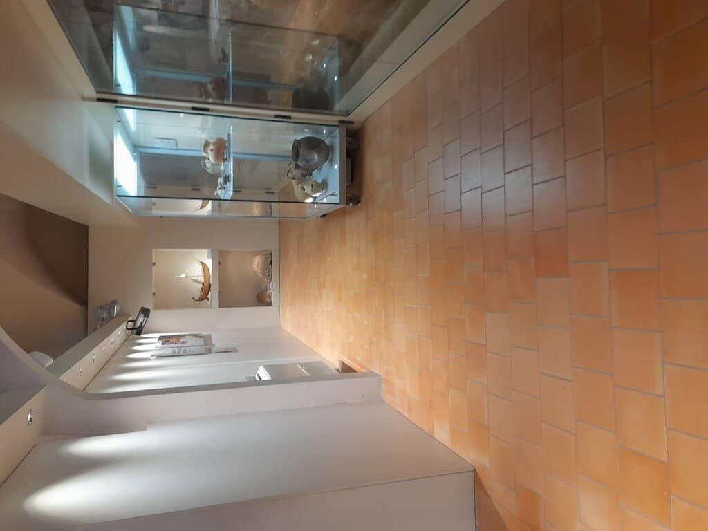 Alghero's Ancient Roots