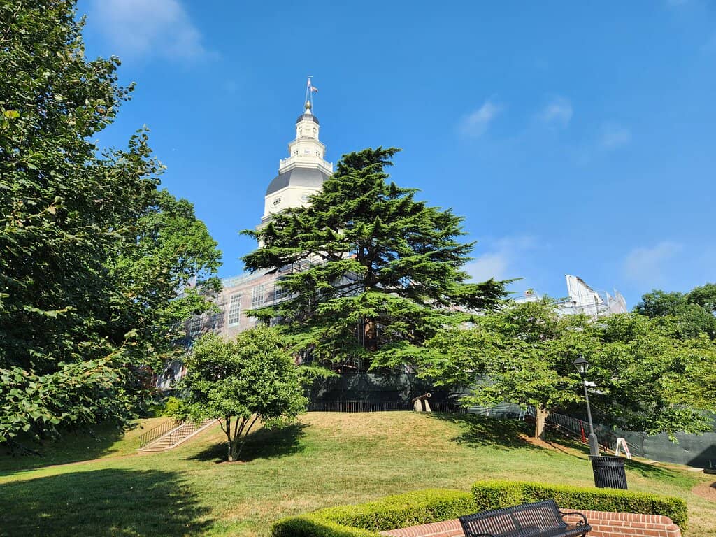 Majestic Wooden Dome
