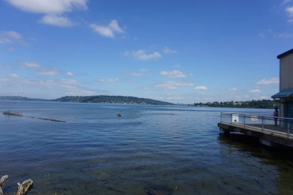 Toddler-Friendly Playground