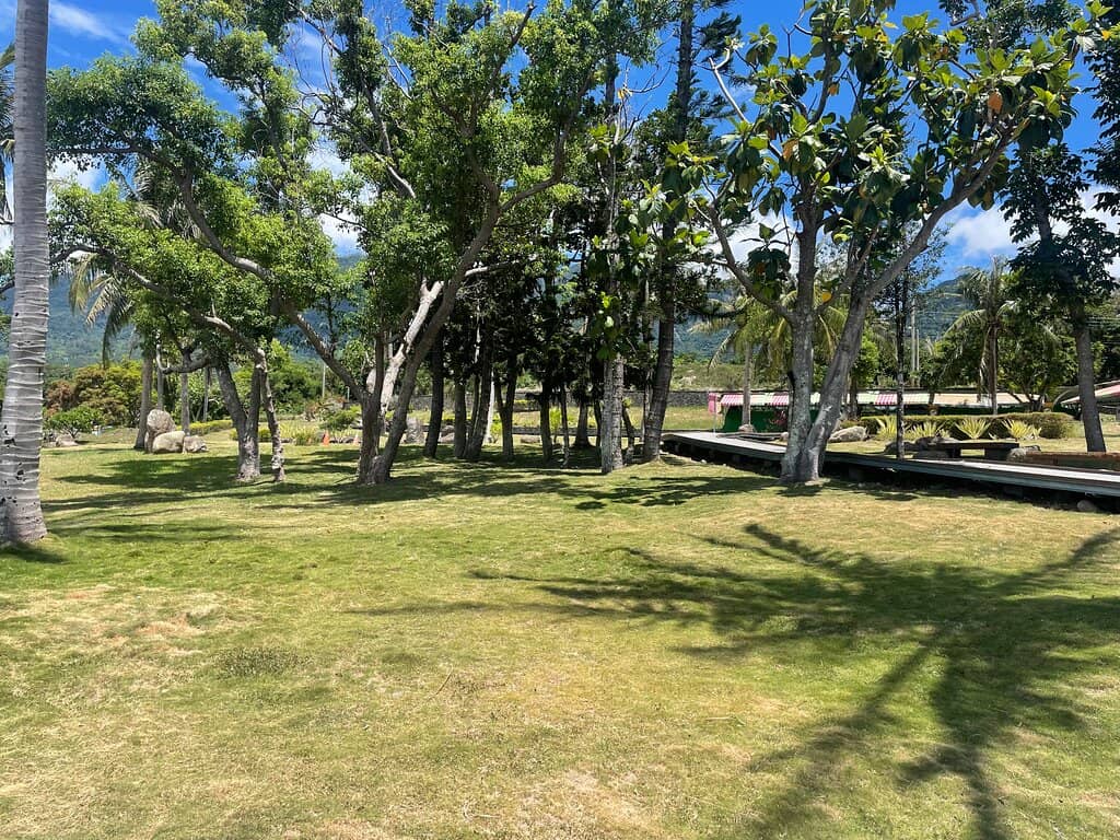 Souvenir Market & Crafts