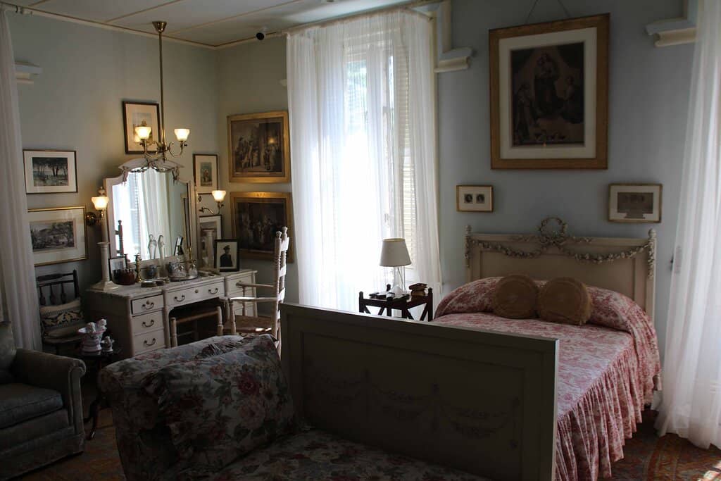 Rare European Fernleaf Beech Tree