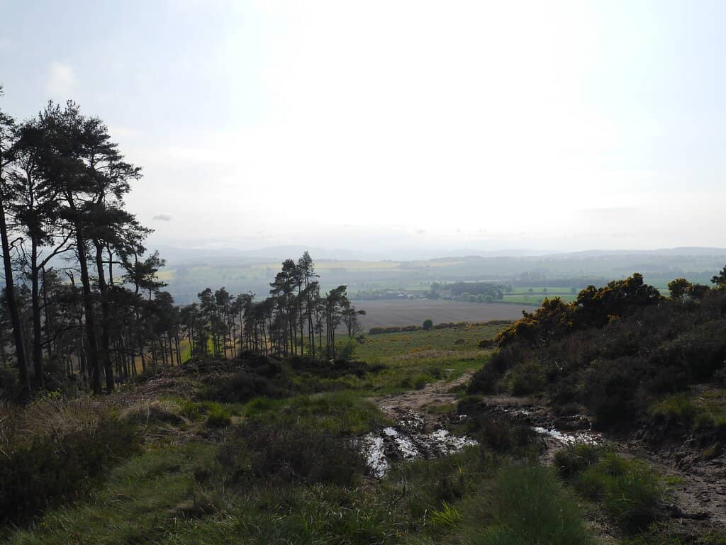 Woodland and Grassy Loop Walk