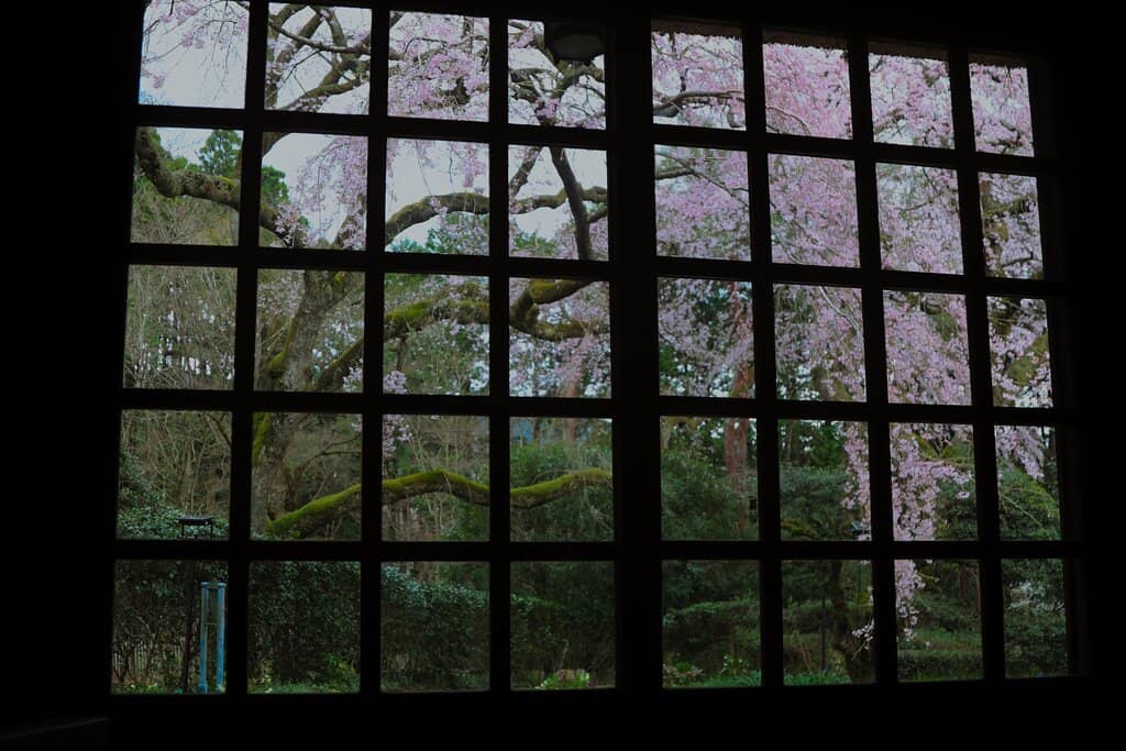 Peaceful Walking Trails