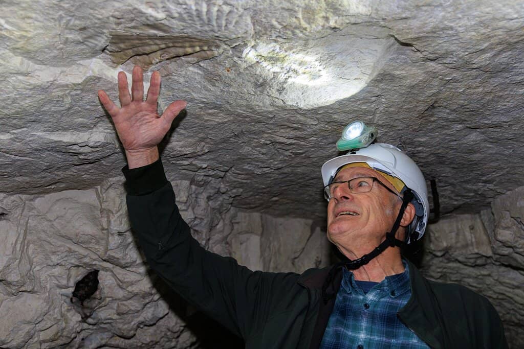 WWII Underground Tunnels