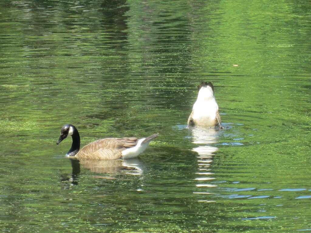 Interactive Kids' Play Area