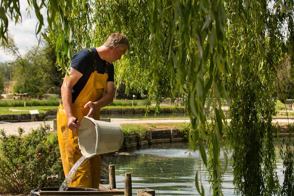 BBQ Your Fresh Catch