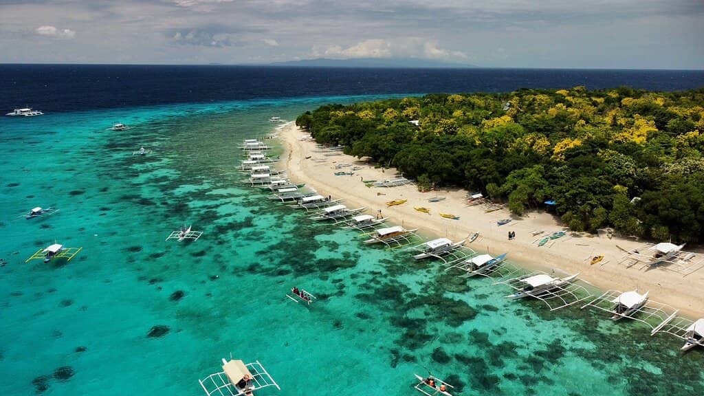 Sea Turtle Encounters