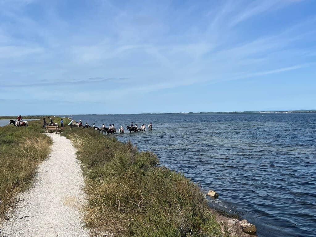 Oyster Farm Restaurants