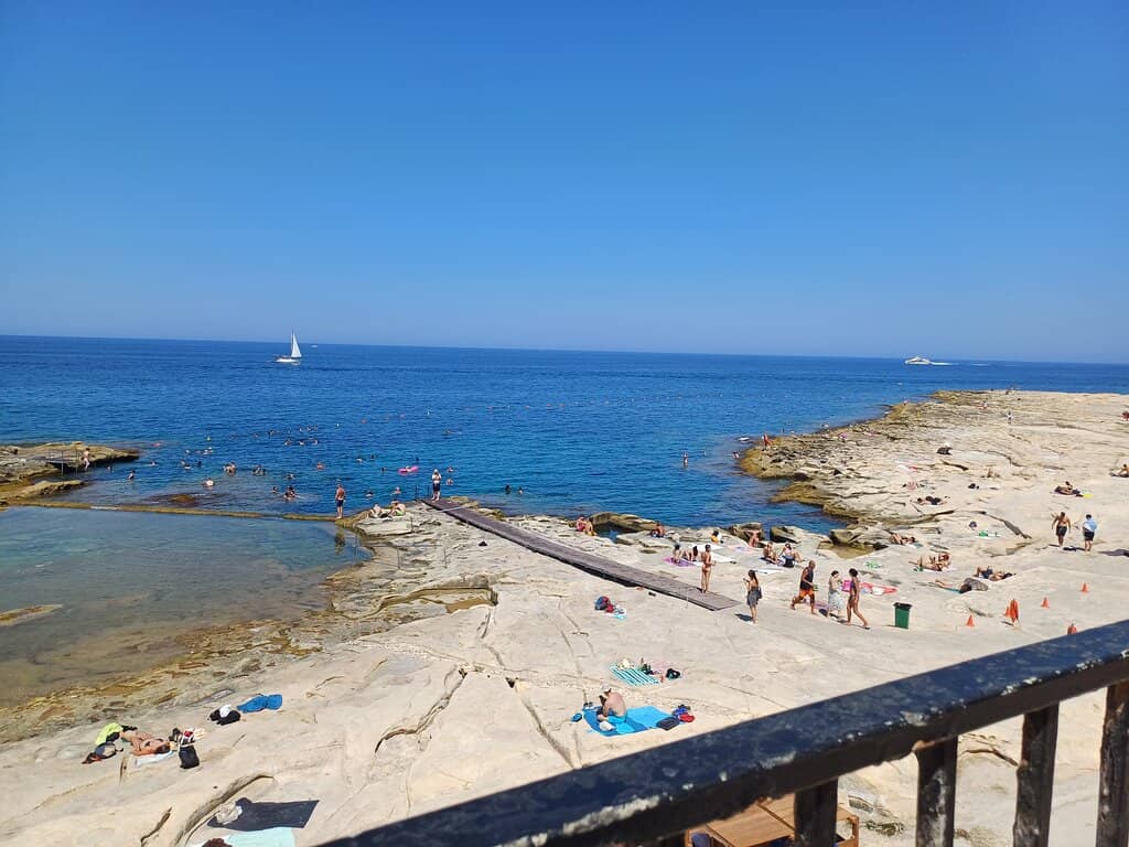 Marine Life Encounters